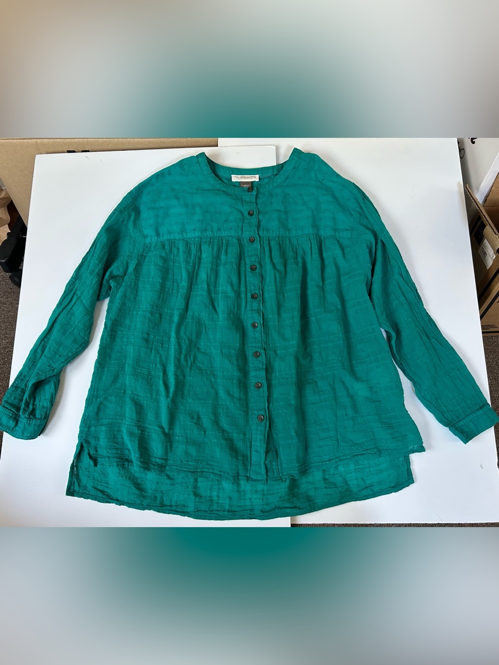 NWT - Anthropologie Flowy and Sheer Button Down Collarless Shirt